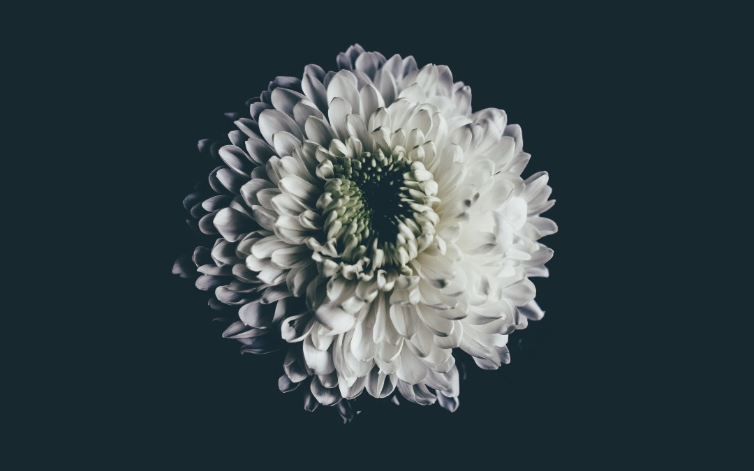Perimenopause / Menopause seminar