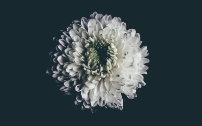 Perimenopause / Menopause seminar