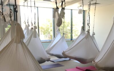 New Class: Aerial Restorative